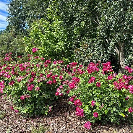 לינה וארוחת בוקר גריפית' Jen'S Garden Pods מראה חיצוני תמונה